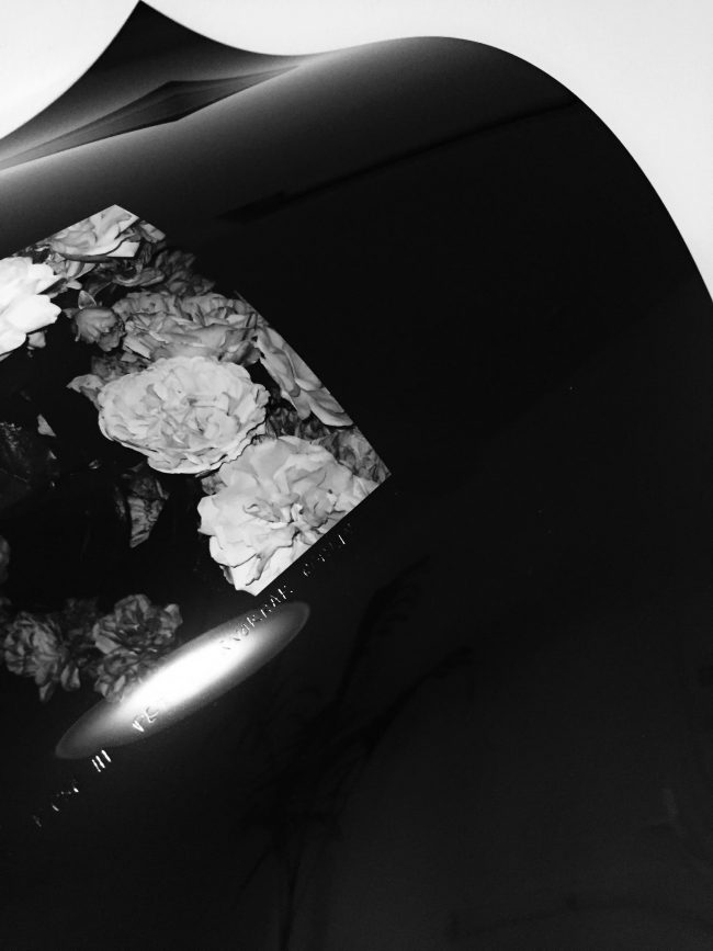 Sick_Rose_III_x