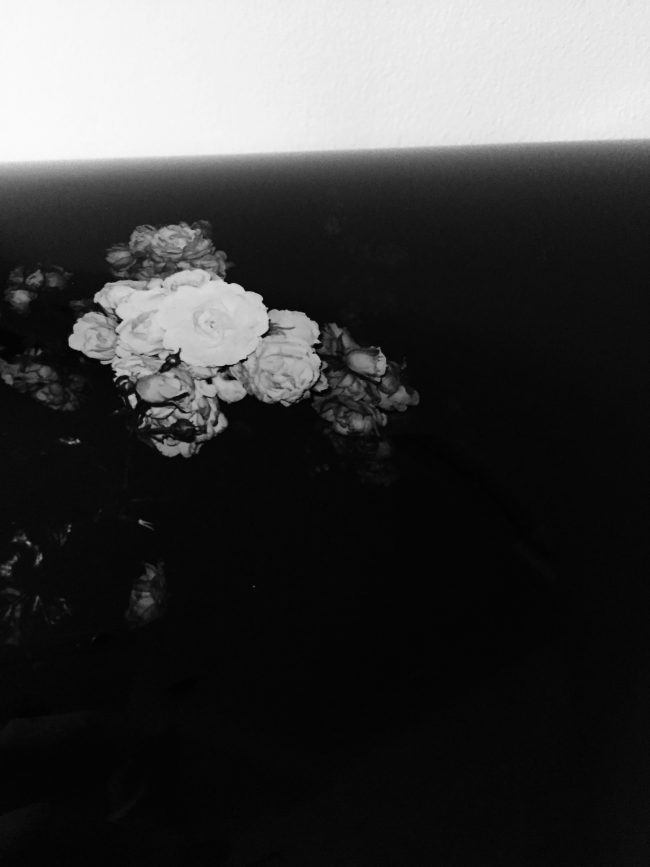 Sick_Rose_I_x
