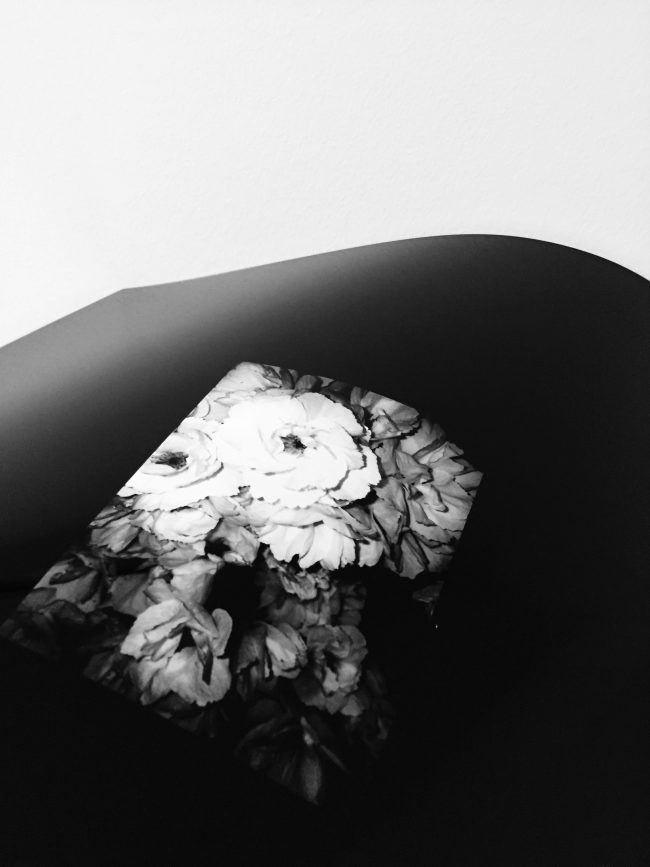 Sick_Rose_VII_x