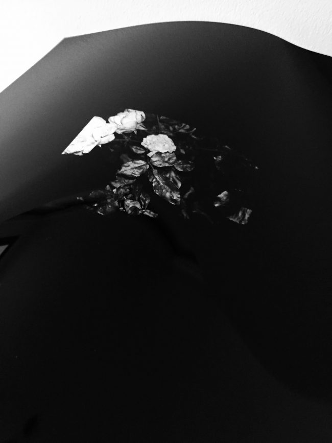 Sick_Rose_V_x